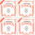 Pirastro Tonica 1814 Violin String Set  Medium Gauge with Ball End E