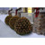 Holiday Time Clear Function Net Lights, 150-Count
