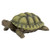 Design Toscano Gilbert the Box Turtle Garden Decor Animal Statue, 9 Inch, Polyresin, Full Color
