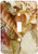 3dRose lsp_40855_1 Florida Keys Seashells Single Toggle Switch
