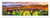 Award Winning Landscape Panoramic Art Print Poster: Rocky Mountains, Colorado