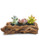 Dahlia Driftwood Stump Log Concrete Planter/Succulent Pot/Plant Pot 7 8L x 4 3W