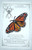 Epic Life Sized Monarch Butterfly Danaus Plexippus Iron on Patch Sew on Applique