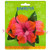 amscan Hibiscus Party Barrette  12 Ct