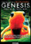 Genesis Where Are We Coming From?