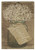 Blossom Bucket Family BB Wall Box Sign