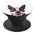 Boston terrier PopSockets Grip and Stand for Phones and Tablets