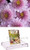 Homegrown Packet Chrysanthemum Seeds 135 Seeds Pink Chrysanthemum Mum