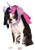 Rubie s My Little Pony Twilight Sparkle Hood Pet Costume Medium/Large