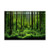 Forest Tank Aquarium Poster PVC Adhesive Underwater Forest Tank Background Poster Backdrop Decoration Paper6130cm