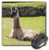 3dRose LLC 8 x 8 x 0.25 Inches Mouse Pad, Peru Machu Picchu Llama in Main Plaza Diane Johnson (mp_86989_1)