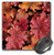 3dRose LLC 8 x 8 x 0.25 Inches Mouse Pad, Oregon, Portland, Peach Flambe Heuchera Flora, Jaynes Gallery (mp_93596_1)