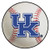 FANMATS NCAA University of Kentucky Wildcats Nylon Face Baseball Rug