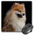 3dRose LLC 8 x 8 x 0.25 Inches Mouse Pad, Pomeranian Portrait (mp_1261_1)