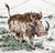 Genus Notochoerus Suidae Family Poster Print by Science Source 24 x 18
