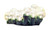 Celebrations 78960-71 Led G15 Pearl Light Set, Warm White