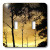 3dRose lsp_8667_2 Sunset In The Woods Double Toggle Switch