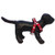 NCAA Wisconsin Badgers Collegiate Dog Harness Small