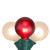 Northlight Christmas Globe Lights/G50 Lights Red