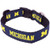 NCAA Michigan Wolverines Collegiate Dog Collar Large