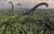 Posterazzi Diplodocus dinosaurs of the sauropod family Poster Print 17 x 11