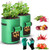 Potato Grow Bags PROLIFE 2 Pack 10 Gallon Aeration Fabric Pots with Handles Heavy Duty Thickened Growing Bags with Harvest Window for Vegetable and Fruit