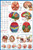 Laminated The Brain Anatomy Science Chart Print Poster 24X36