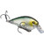 Strike King KVD Square Bill 1 5 ProModel Crankbait Clearwater Minnow 7/16Ounce
