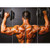 Doppelganger33 LTD Bodybuilding Weight Lifting Gym Muscles New Giant Wall Art Print Poster OZ153