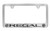 Buick Regal Chrome Plated Metal License Plate Frame Holder