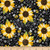 Timeless Treasures You Are My Sunshine Sunflower  Bee Chalkboard Fabric Black Quilt Fabric By The Yard
