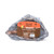 Fluker s Rock Food   Water Bowl for Hermit Crabs