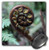 3dRose LLC 8 x 8 x 0 25 Inches Mouse Pad  Rolled Fern Fractal Koru South Island New Zealand  mp 22808 1