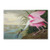 Roseate Spoonbill Artwork by John James Audubon, 12 by 19-Inch Canvas Wall Art