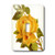 3dRose LLC lsp_22320_1 Yellow Rose, Single Toggle Switch