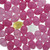 BestPysanky Set of 46 Blank Pink Plastic Eggs + 1 White Egg + 1 Golden Easter Egg