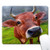 Galdas Mouse Pad Mousepad Non Slip Rubber Gaming Mouse Pad Rectangle Mouse Pads for Computers Laptop  Cow