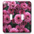 3dRose lsp 17233 2 Purple Pink Mums Double Toggle Switch