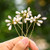 Barode Bridal Wedding Hair Pins Silver Crystal Pearl Hairpin Rhinestones Flower Bride Hair Accessories for Women and Girls Pack of 3   Gold Barode Bridal Wedding Hair Pins Silver Crystal Pearl Hairpin Rhinestones Flower Bride Hair Accessories for Women and Girls Pack of 3   Gold