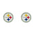 NFL Pittsburgh Steelers Team Post Earrings