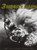VAS Entertainment 3 Minute Gaps DVD
