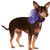 Rubie s Costume Co Pet Necklace Collar  Small Medium  Purple Sequin