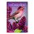 NEW HAMPSHIRE BIRD AND FLOWER postcard set of 20 identical postcards  NH state symbols post cards  Made in USA