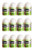 CHAP ICE Mini Lip Balm  Kiwi Lime  12 Count