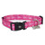 Petmate WWE Divas 1  X 16 26  Pink Adjustable Dog Collar