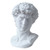 LKXHarleya 6 Inch Classic Greek Michelangelo David Bust Statue Replica Sculpture Figurine for Artist