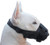 Dogs My Love Nylon Dog Muzzle Adjustable Black  Small  5 5  7 5  Snout