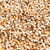 Tiny Sea Shell Beads Ocean Beach Spiral Seashells for DIY Craft Charms