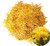 TooGet Dried Chrysanthemum Herbal  Premium Golden yellow Fetal Chrysanthemum Flower Tea  Loose Leaf Floral Tea  Top Grade   2 OZ
