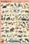 Laminated Mammals Science Educational Chart Poster Print 24x36